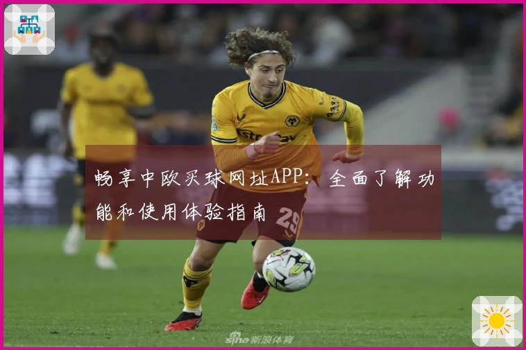 畅享中欧买球网址APP：全面了解功能和使用体验指南