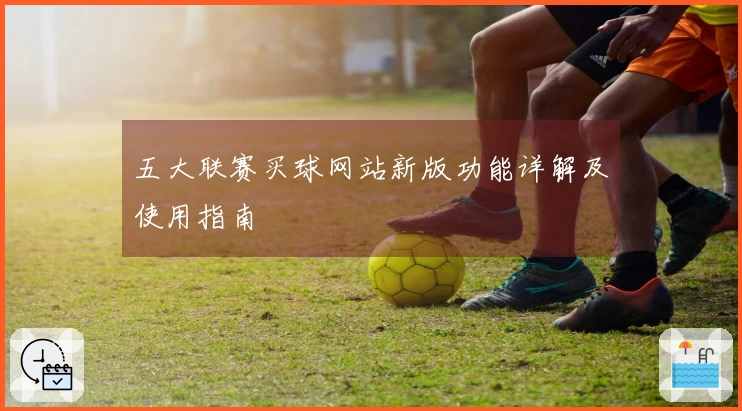 五大联赛买球网站新版功能详解及使用指南