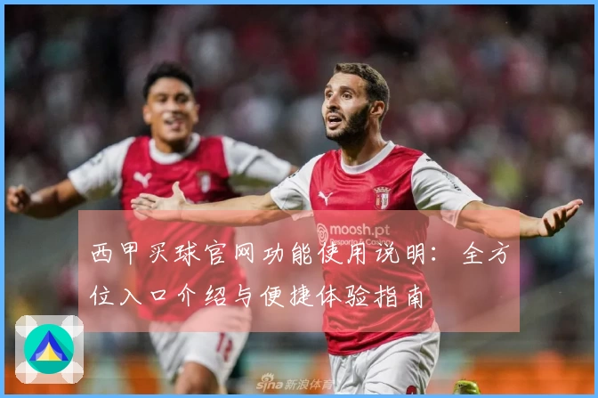 西甲买球官网功能使用说明：全方位入口介绍与便捷体验指南