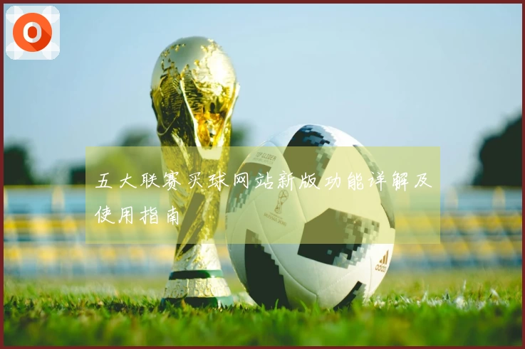 五大联赛买球网站新版功能详解及使用指南