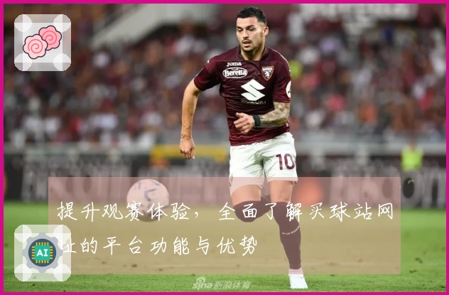 提升观赛体验，全面了解买球站网址的平台功能与优势