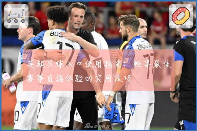 英超买球入口使用指南：畅享最佳赛事直播体验的实用技巧