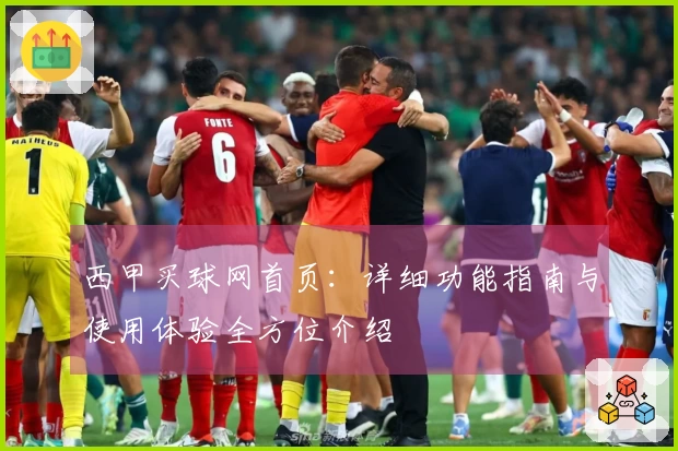 西甲买球网首页：详细功能指南与使用体验全方位介绍