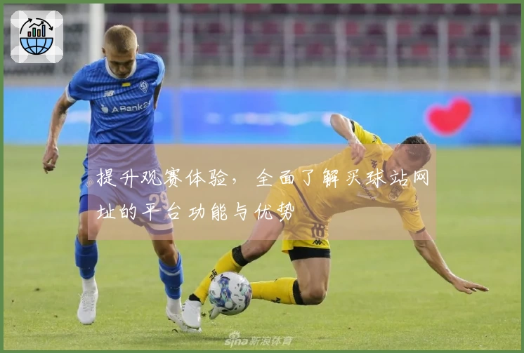 提升观赛体验,全面了解买球站网址的平台功能与优势