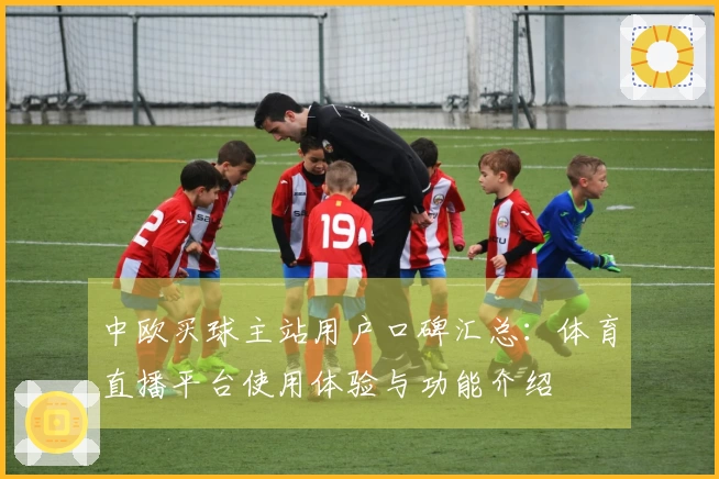 中欧买球主站用户口碑汇总：体育直播平台使用体验与功能介绍