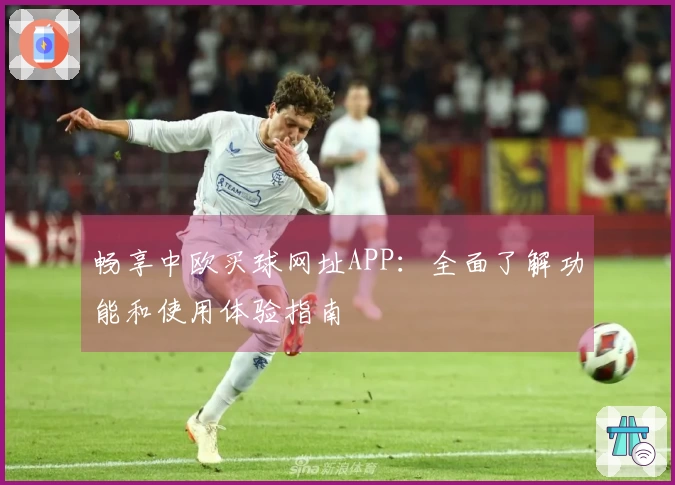 畅享中欧买球网址APP：全面了解功能和使用体验指南